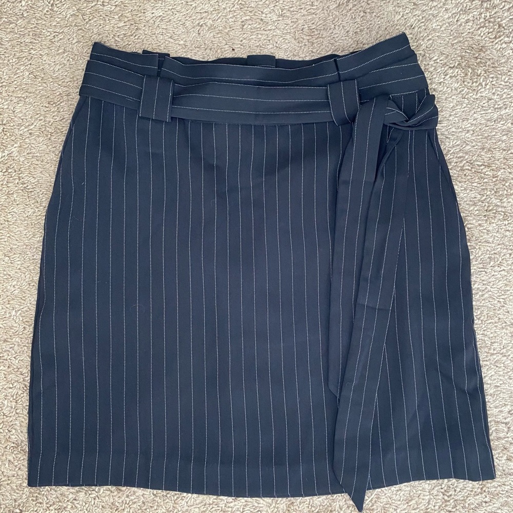 NWT express skirt